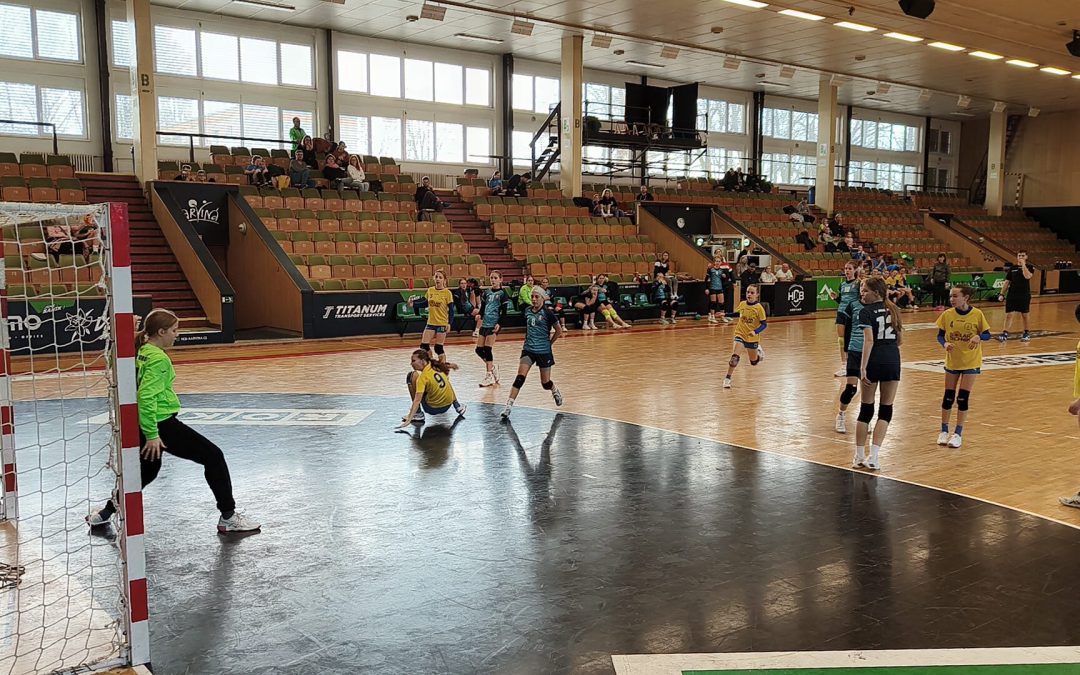 Regionální kvalifikace Házenkářského desetiboje nabídla pořádné drama. Do finále postoupila Poruba